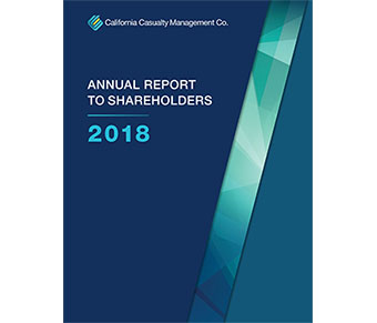 Annual Shareholder Report for 2018