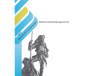 2017-shareholders-report