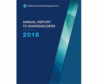 2018-shareholders-report