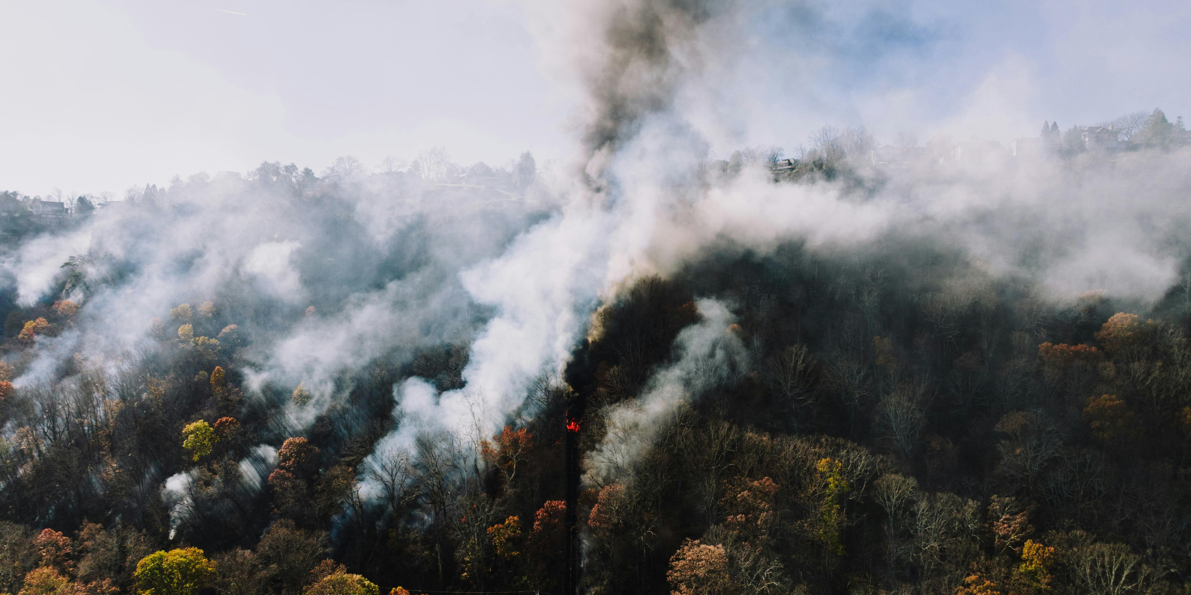 Wildfire Smoke